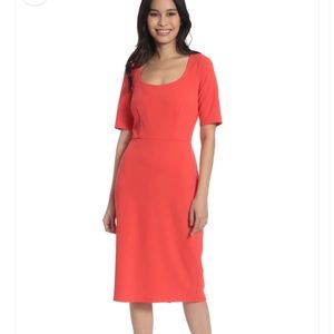 NWT Maggy London Size 4 Cayenne Dress